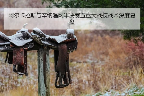 a-er-ka-la-si-yu-xin-na-wen-wang-ban-jue-sai-wu-pan-da-zhan-ji-zhan-shu-shen-du-fu-pan-2-595.jpg