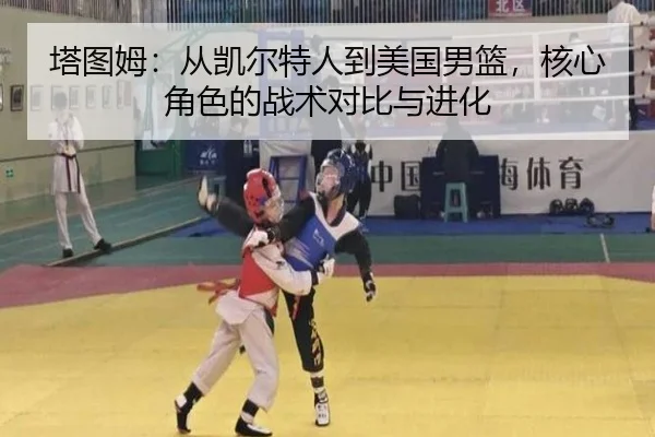 ta-tu-mu-cong-kai-er-te-ren-dao-mei-guo-nan-lan-he-xin-jue-se-de-zhan-shu-dui-bi-yu-jin-hua-3-258.jpg