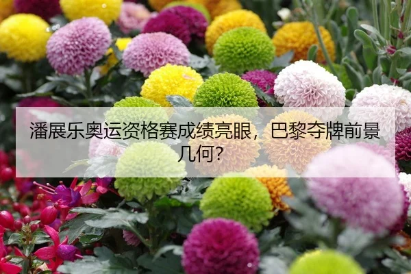 潘展乐奥运资格赛成绩亮眼，巴黎夺牌前景几何？